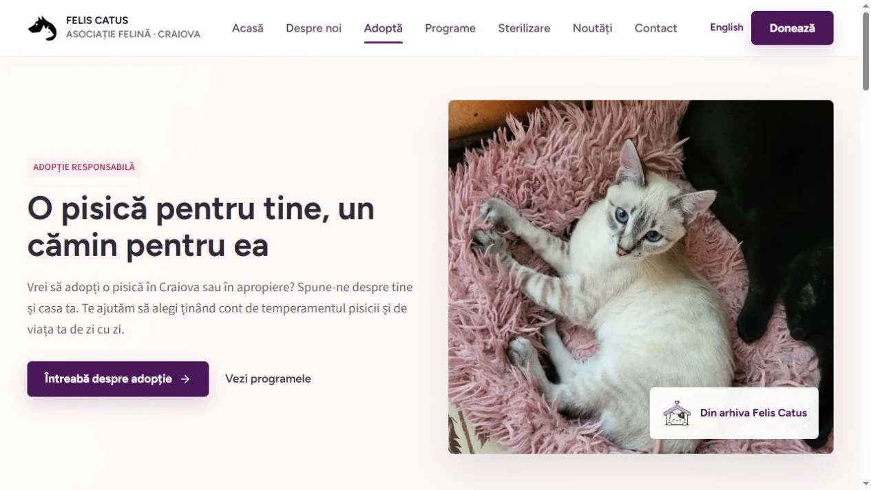 Felis Catus — pagină interioară